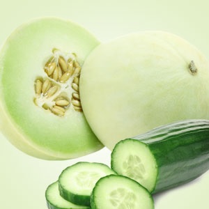 Cucumber Melon Scent