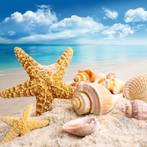 Island Fresh Scent